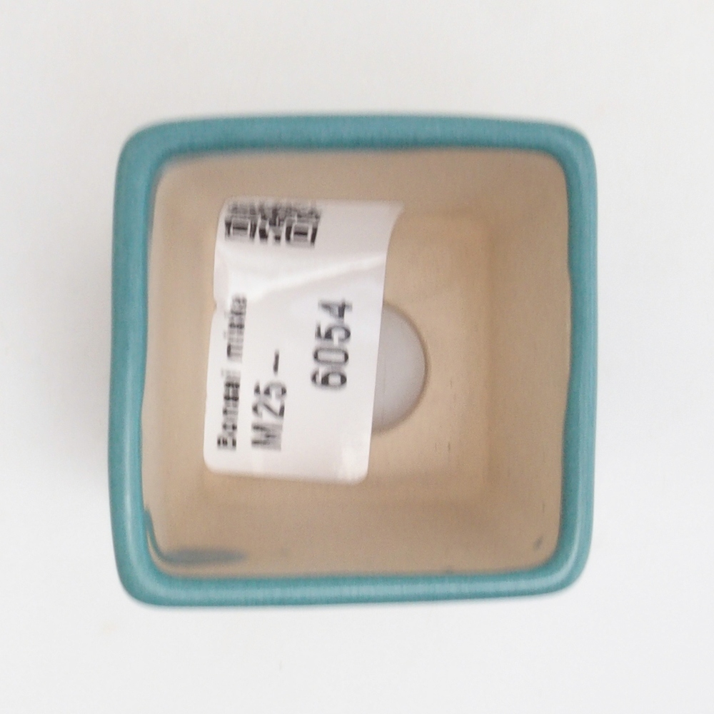 Ciotola bonsai in ceramica 6,5 x 5,5 x 4 cm, colore blu