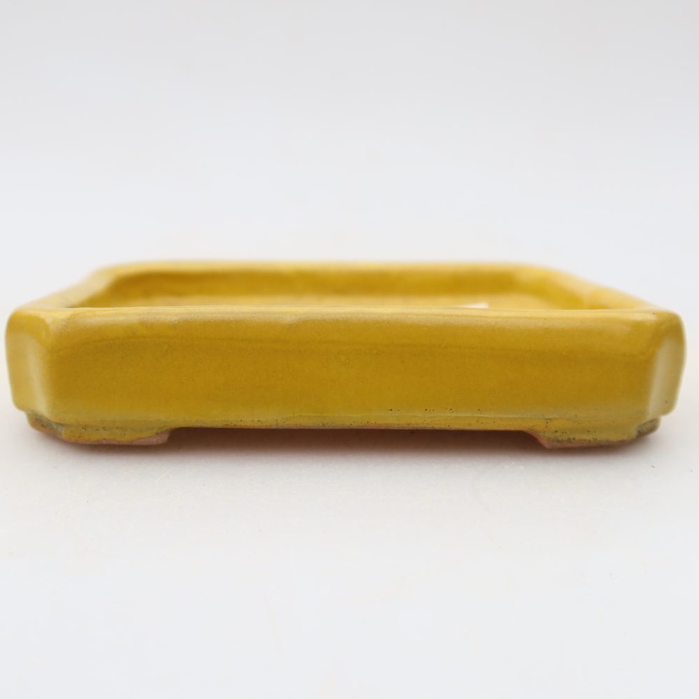 Ciotola per bonsai in ceramica 10 x 8 x 2 cm, giallo