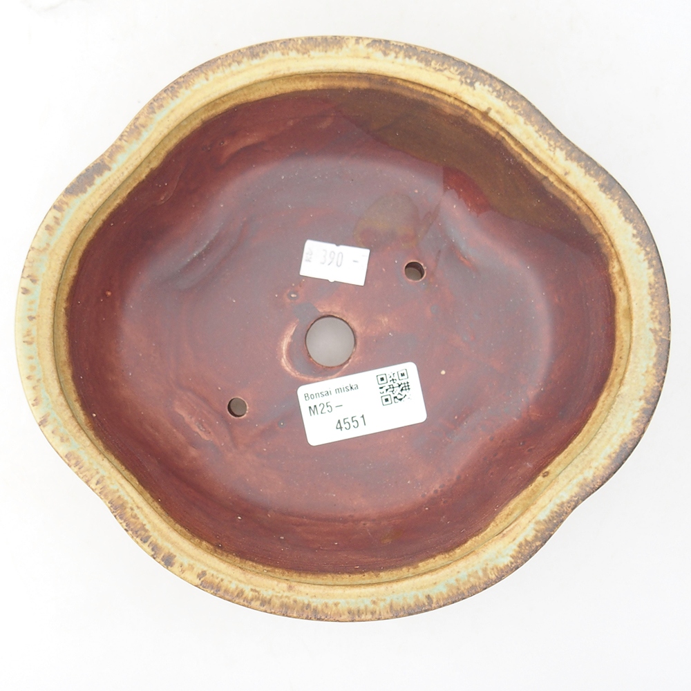 Ciotola bonsai in ceramica 19 x 17 x 6 cm, verde