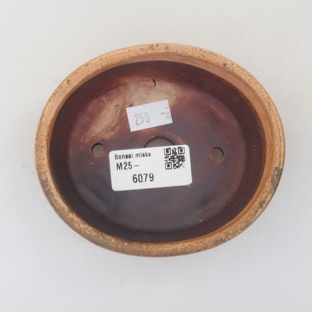 Ciotola per bonsai in ceramica 10 x 8,5 x 4 cm, marrone