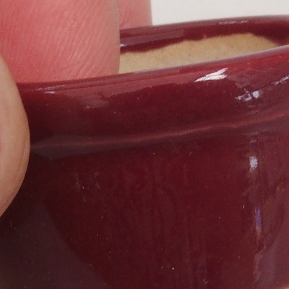 Mini bonsai 3,5 x 3,5 x 2 cm, bordeaux