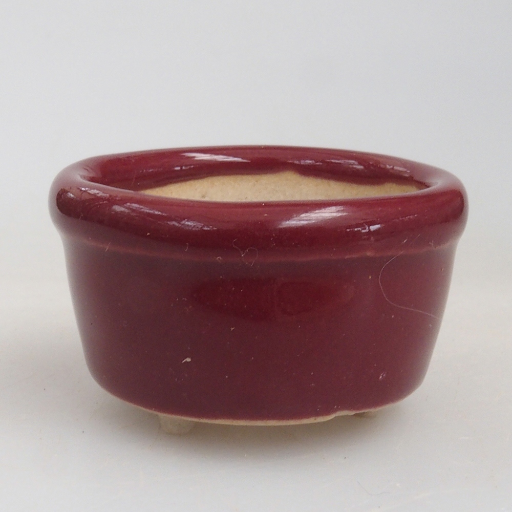 Mini bonsai 3,5 x 3,5 x 2 cm, bordeaux