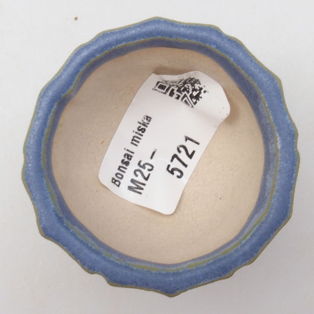 Ciotola per mini bonsai 5 x 5 x 3 cm, blu