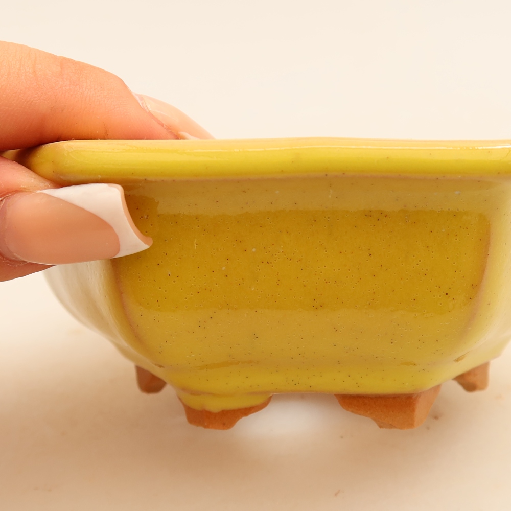Vaso da bonsai in ceramica 12 x 10,5 x 4 cm, colore giallo