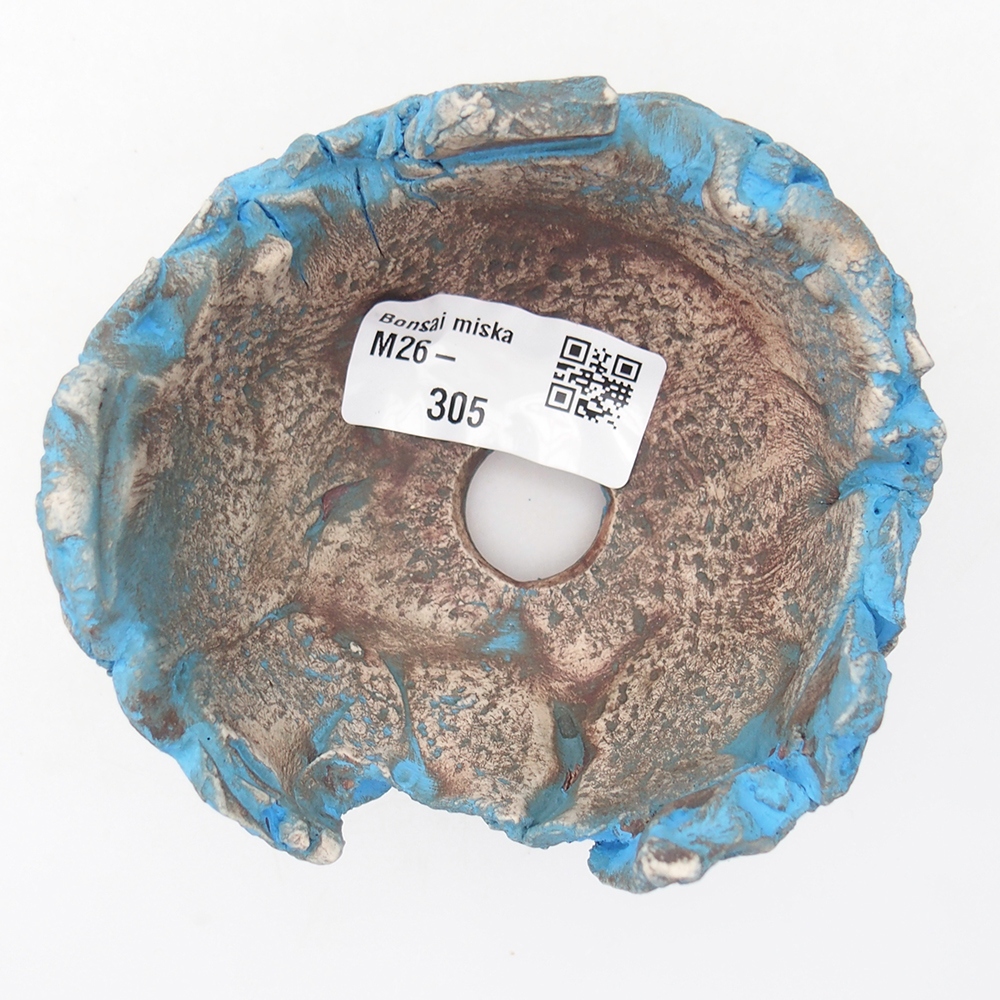 Conchiglia in ceramica 9 x 9 x 6 cm , colore blu