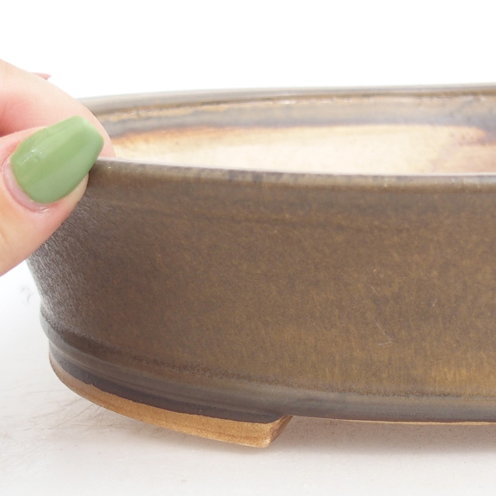 Ciotola per bonsai in ceramica 28 x 25 x 6,5 cm, marrone