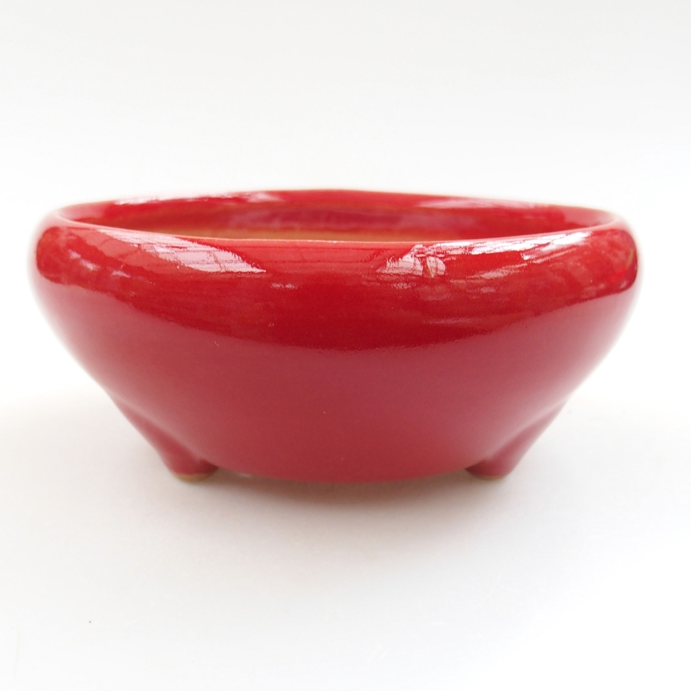 Ciotola bonsai in ceramica 22 x 17 x 5 cm, verde