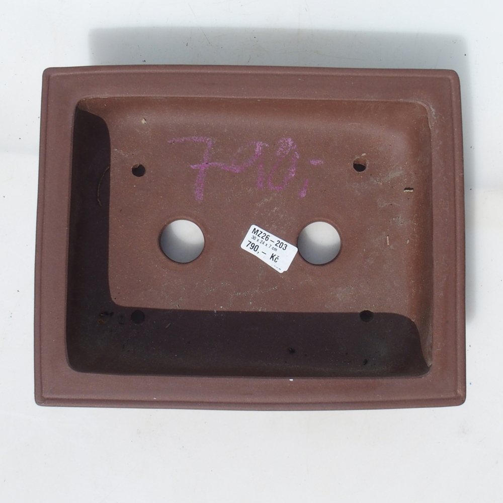 Ciotola per bonsai 30 x 24 x 7 cm betulla marrone