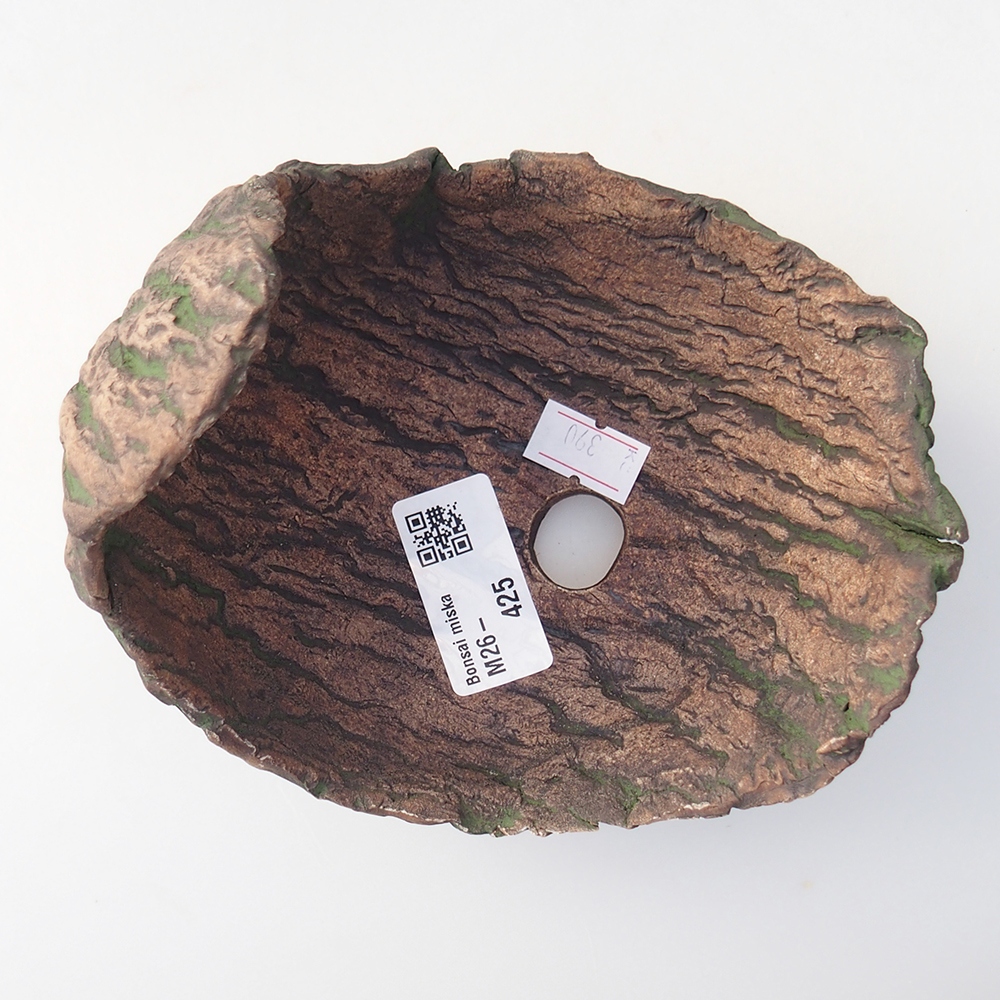 Conchiglia in ceramica 13 x 12 x 12,5 cm , colore verde