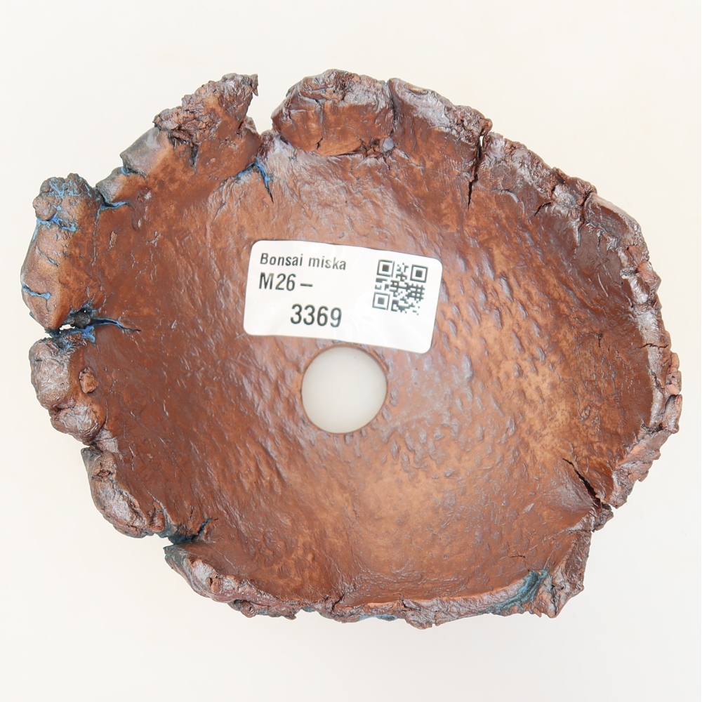 Guscio in ceramica 11,5 x 10 x 5,5 cm, colore blu
