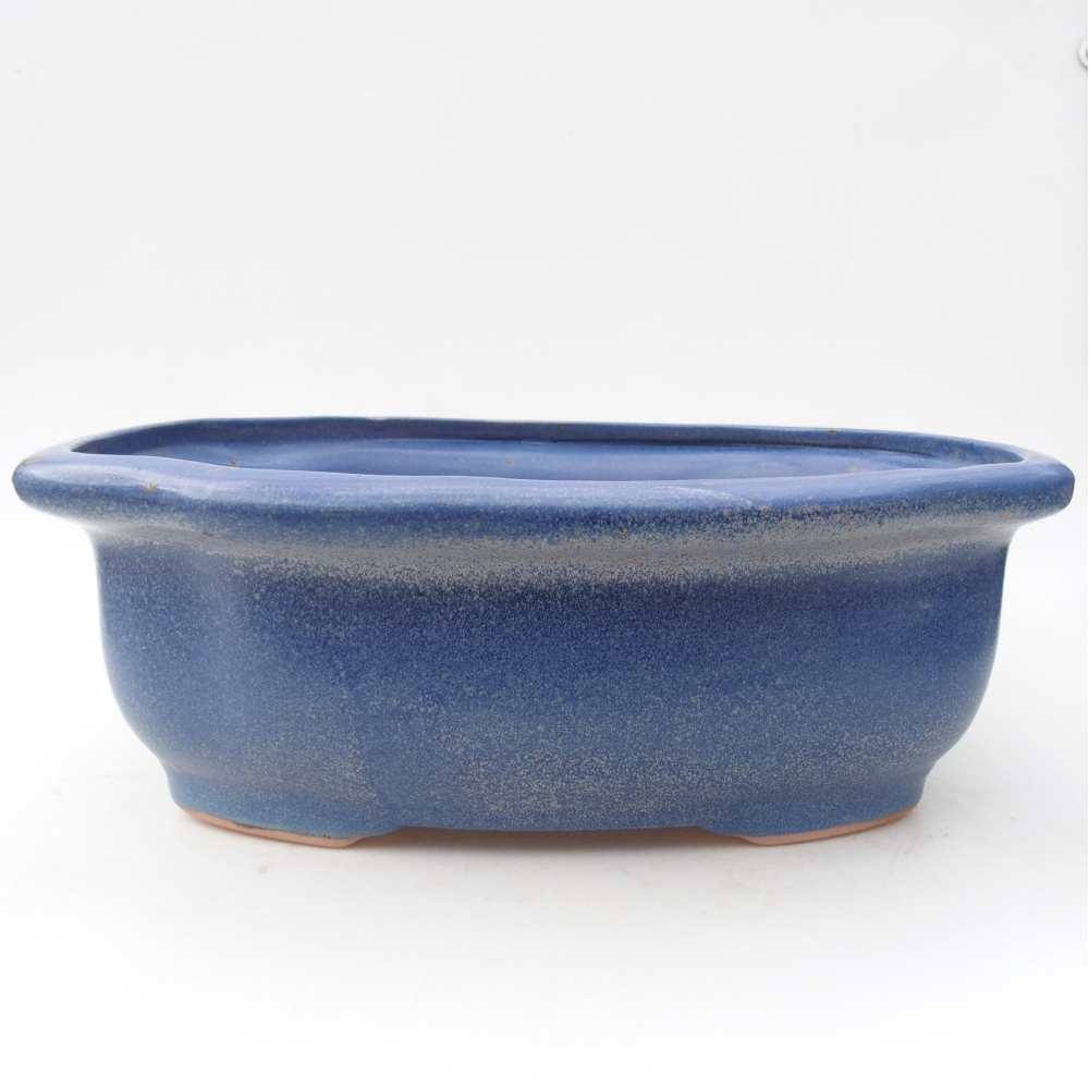 Ciotola bonsai in ceramica 30 x 25 x 10 cm, colore blu