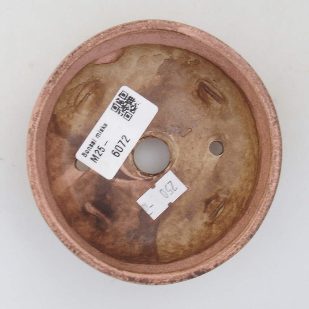Ciotola per bonsai in ceramica 10 x 8,5 x 4 cm, marrone