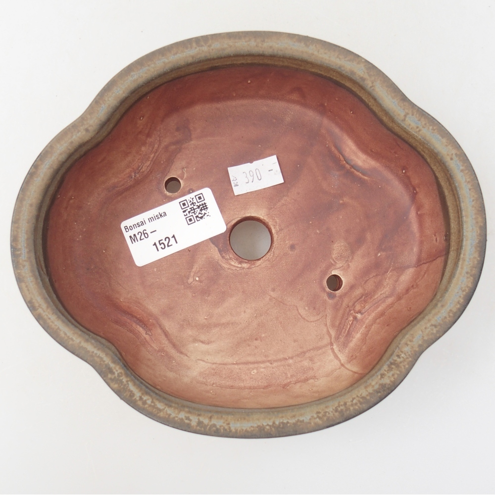 Ciotola per bonsai in ceramica 17 x 15 x 5,5 cm, marrone