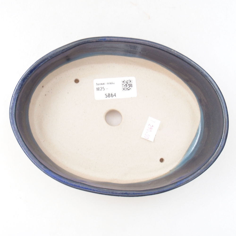 Ciotola bonsai in ceramica 22 x 17 x 5 cm, verde