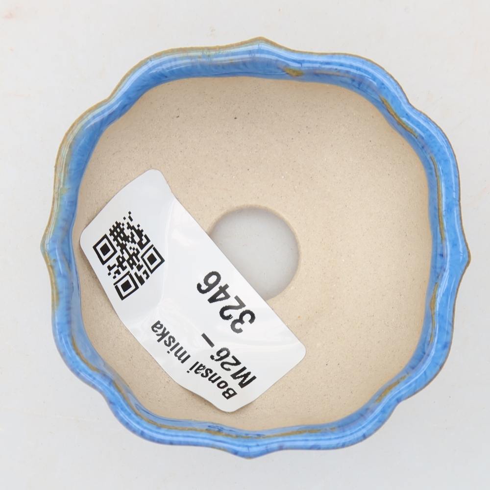 Vaso da bonsai in ceramica 6 x 6 x 3 cm, colore blu