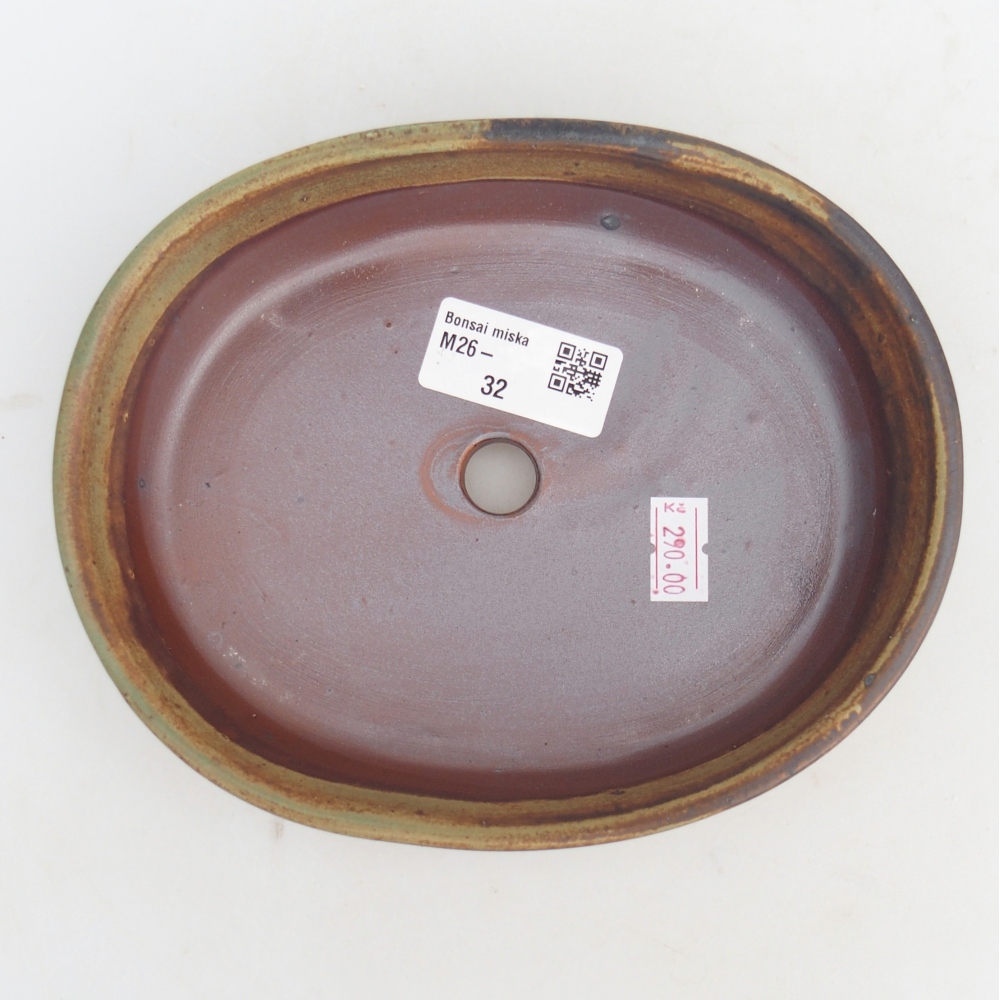 Ciotola bonsai in ceramica 17 x 14 x 4 cm, verde