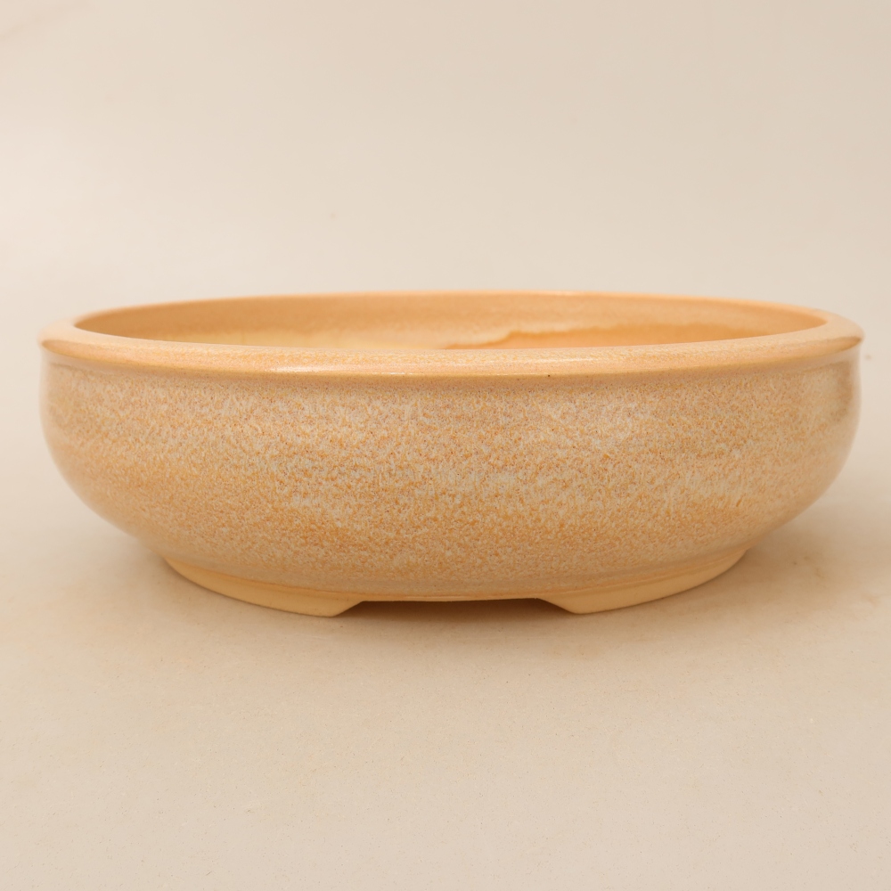 Vaso da bonsai in ceramica 22,5 x 22,5 x 6,5 cm, colore beige