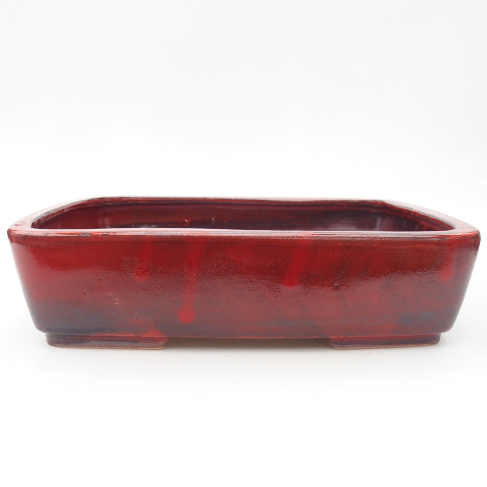 Ciotola per bonsai in ceramica 26,5 x 20 x 6,5 cm, colore rosso