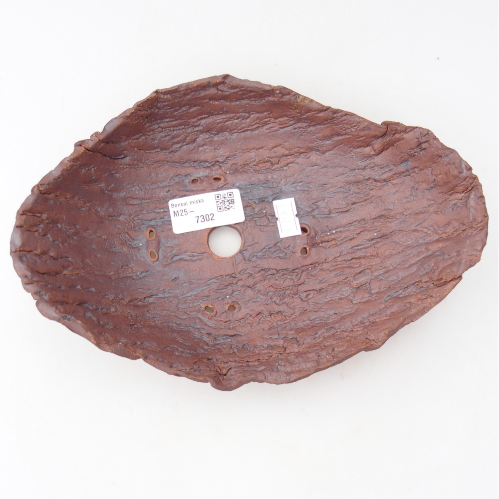 Conchiglia in ceramica 23 x 16,5 x 6 cm , colore marrone