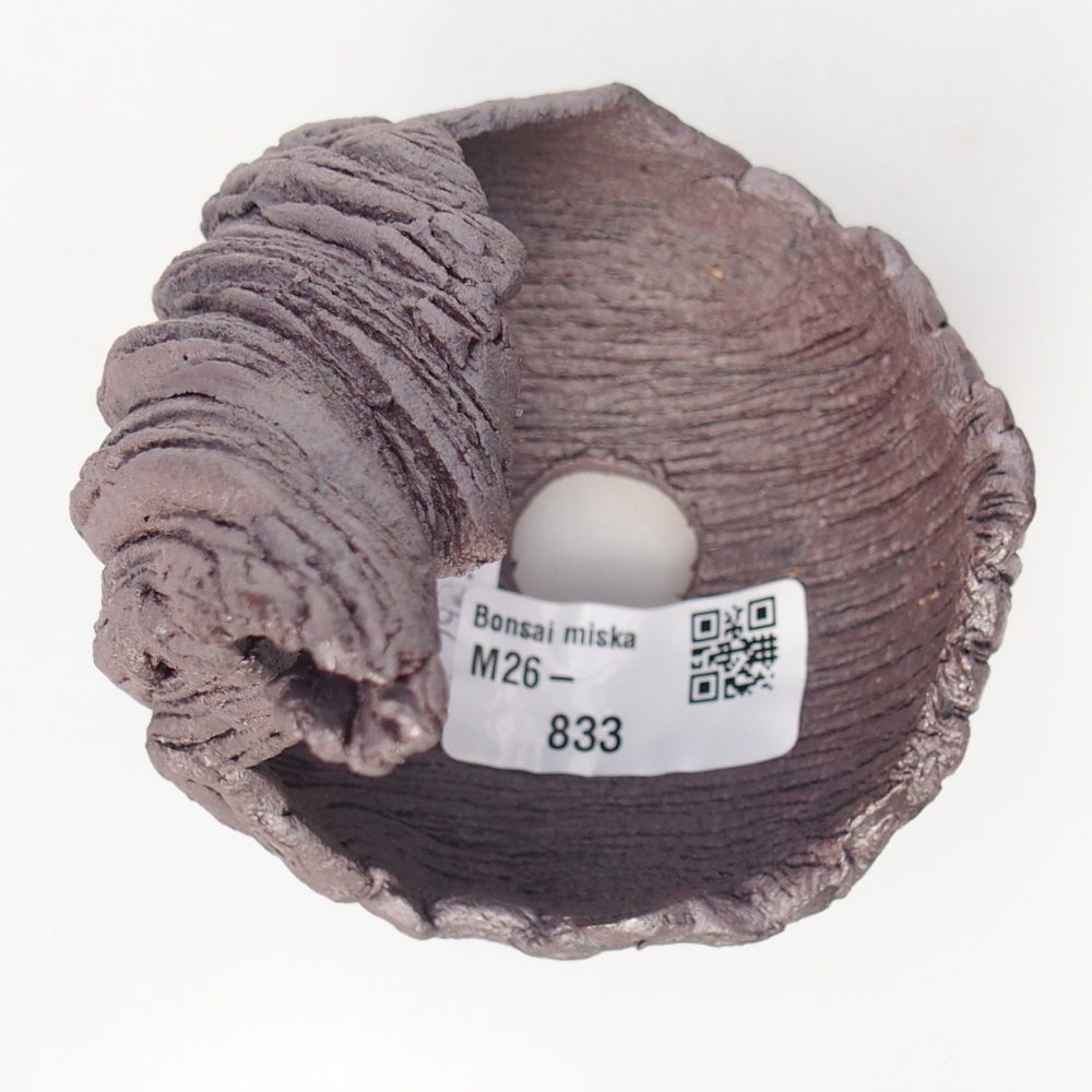 Conchiglia in ceramica 7,5 x 8 x 12,5 cm , colore metallizzato