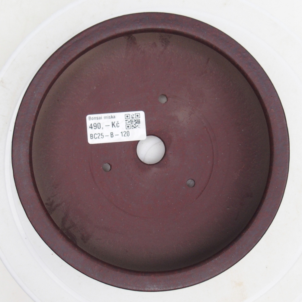 Ciotola per bonsai in ceramica 17,5 x 17,5 x 4 cm, marrone