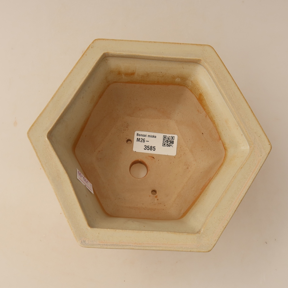 Vaso da bonsai in ceramica 18,5 x 16,5 x 9 cm, colore beige