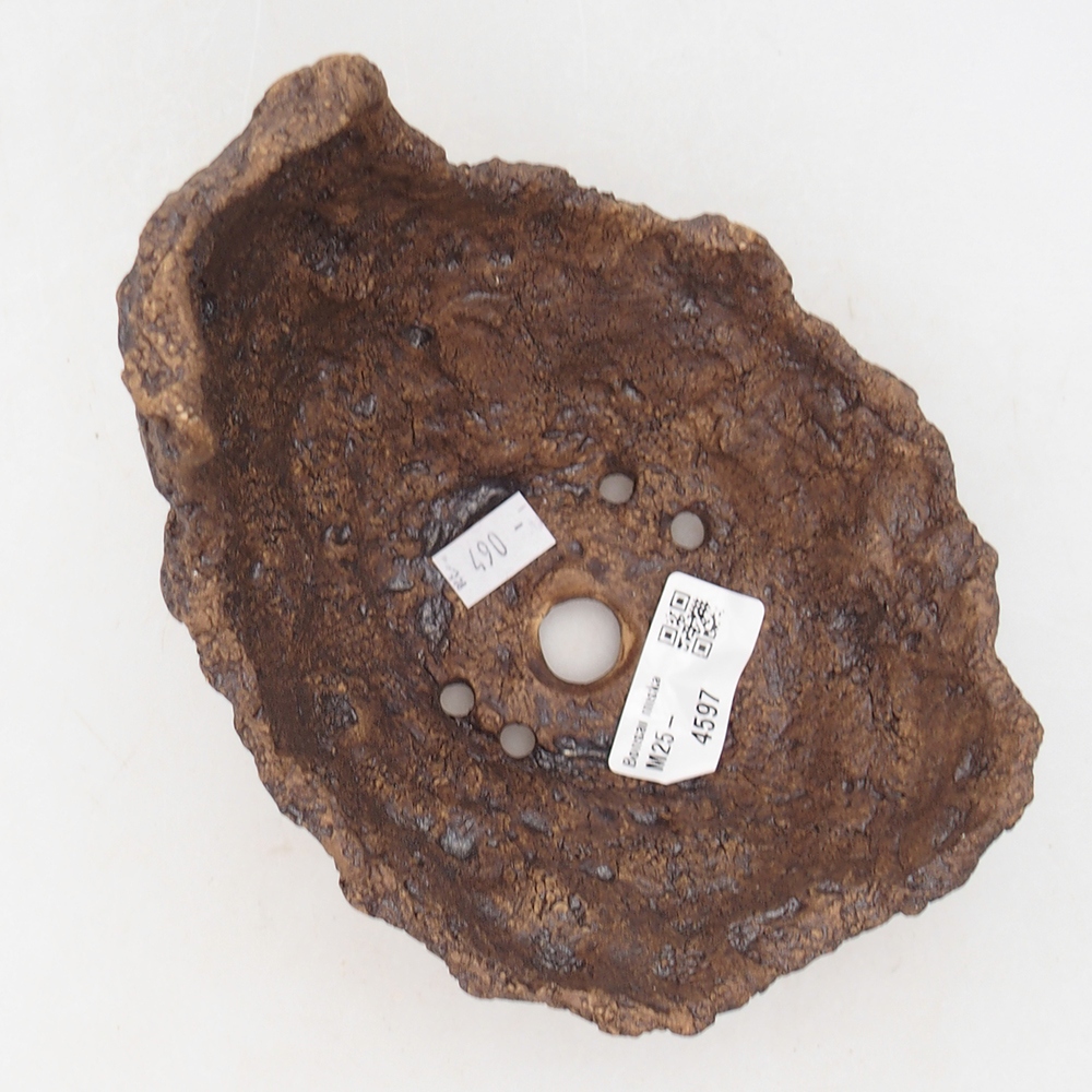 Conchiglia in ceramica 14 x 14 x 13 cm , colore marrone