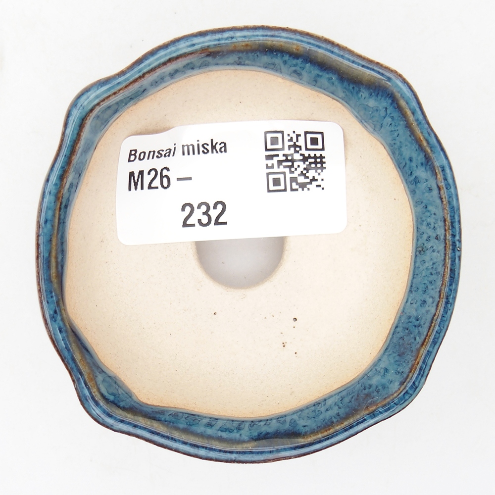 Mini bonsai 6,5 x 6,5 x 2,5 cm, colore blu