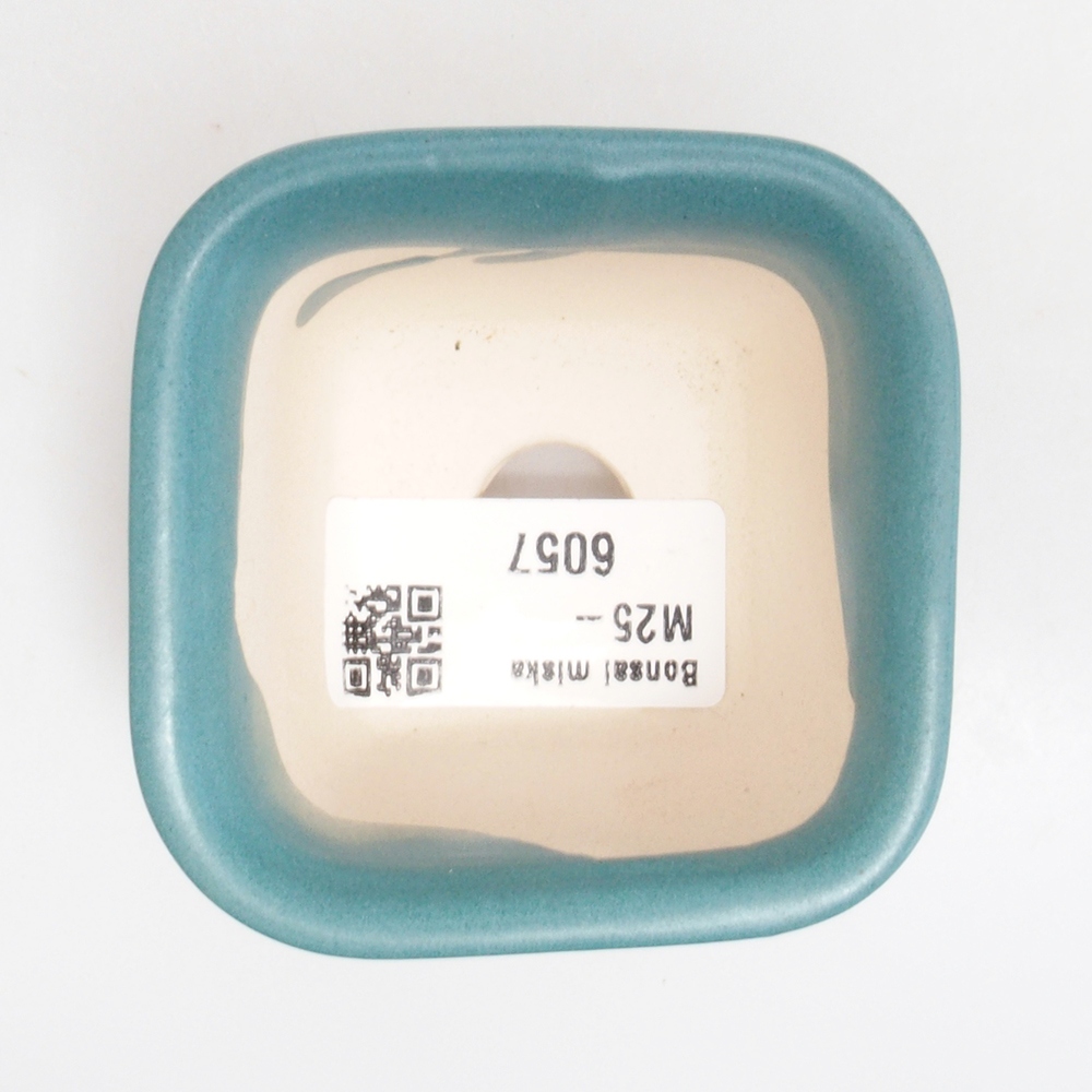 Ciotola bonsai in ceramica 6,5 x 5,5 x 4 cm, colore blu