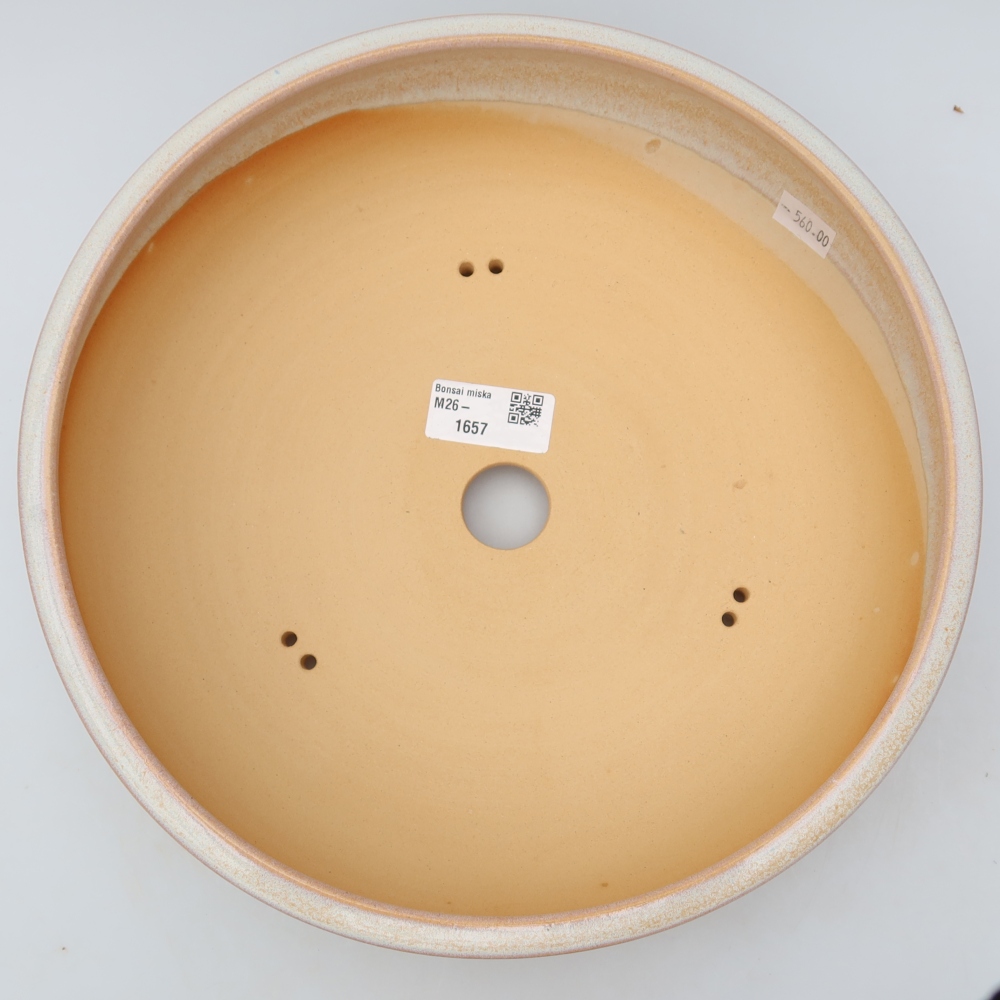 Ciotola bonsai in ceramica 26,5 x 26,5 x 7,5 cm, colore beige
