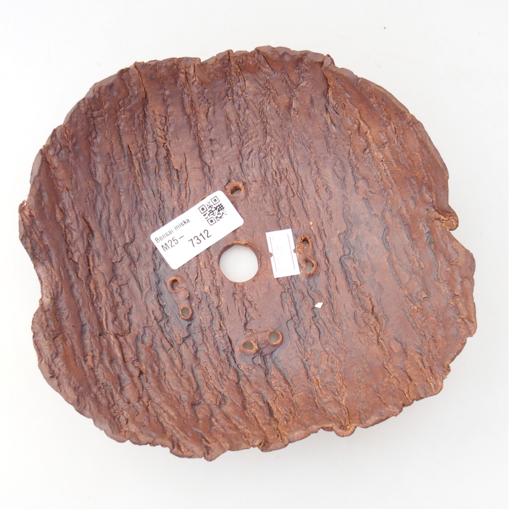 Conchiglia in ceramica 19 x 18 x 5,5 cm , colore marrone