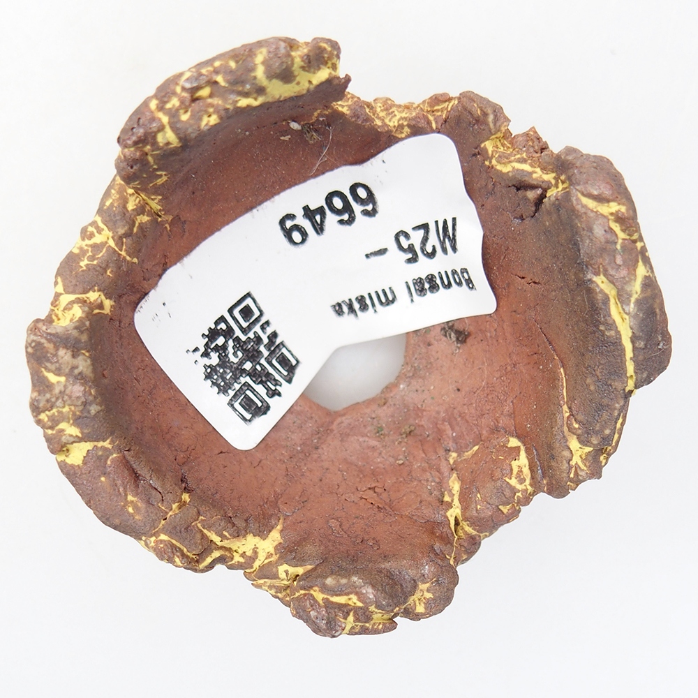 Conchiglia in ceramica 5,5 x 5 x 4 cm , colore giallo