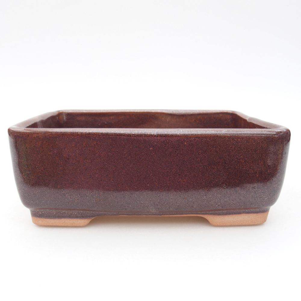 Ciotola per bonsai in ceramica 15 x 11 x 5,5 cm, marrone