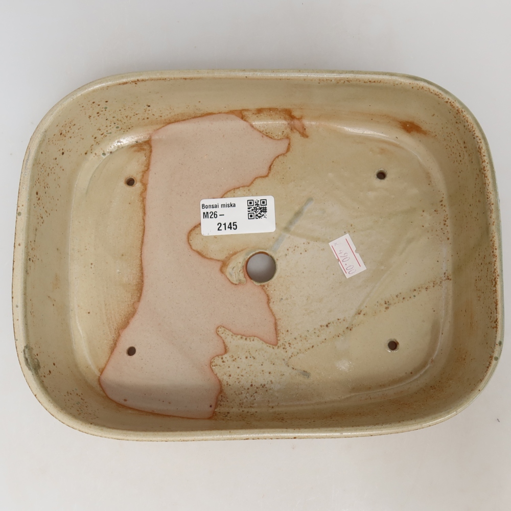 Vaso da bonsai in ceramica 23 x 18 x 5,5 cm, colore beige