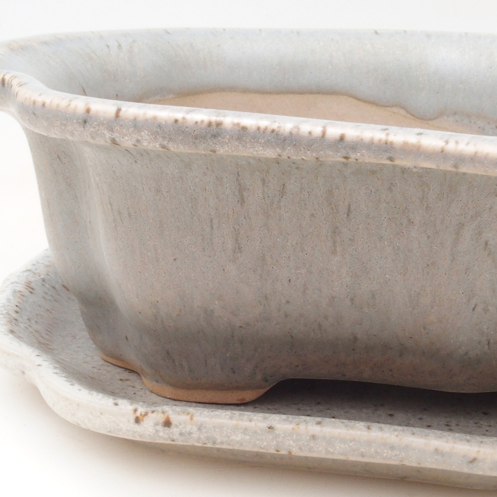 Ciotola bonsai + piattino H51 - 18x14x5 cm - beige