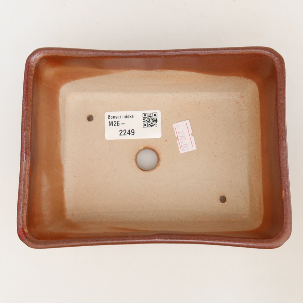 Vaso da bonsai in ceramica 16 x 12 x 6 cm, colore bordeaux