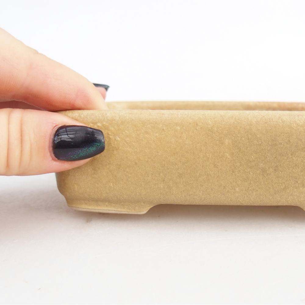 Ciotola per bonsai in ceramica 12,5 x 9,5 x 3,5 cm, colore beige