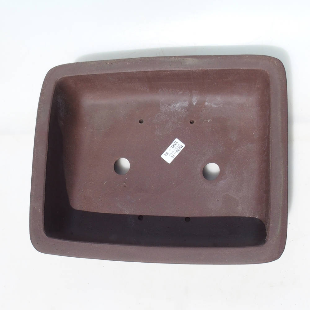 Ciotola per bonsai 39 x 32 x 10,5 cm betulla marrone