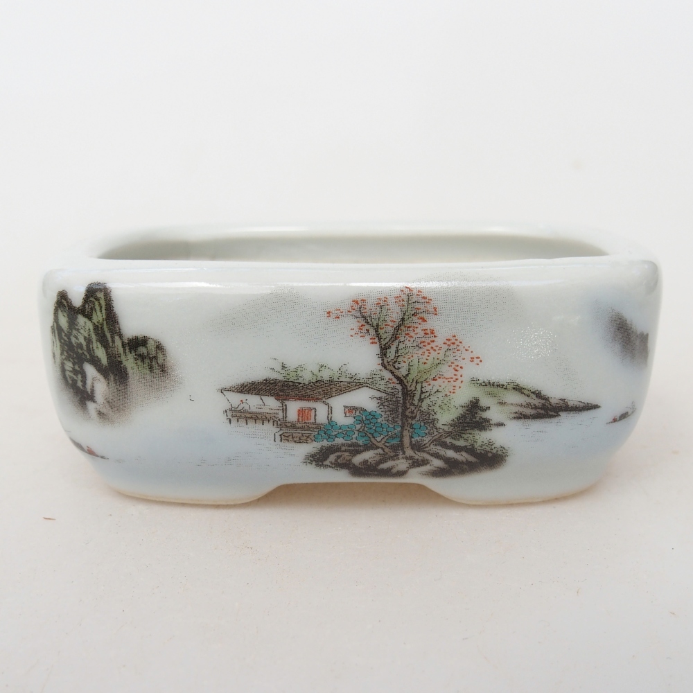 Mini bonsai 8 x 6 x 3 cm, bianco