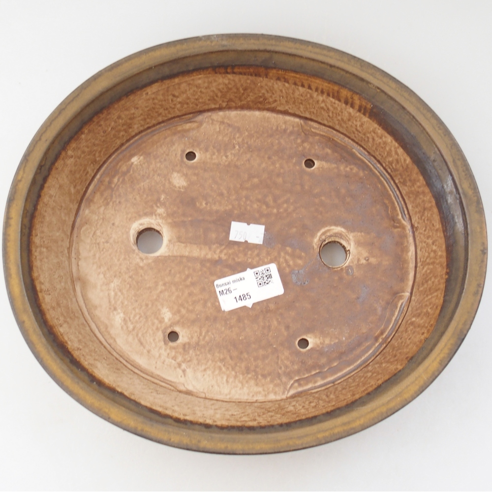 Ciotola per bonsai in ceramica 27 x 24 x 6 cm, marrone