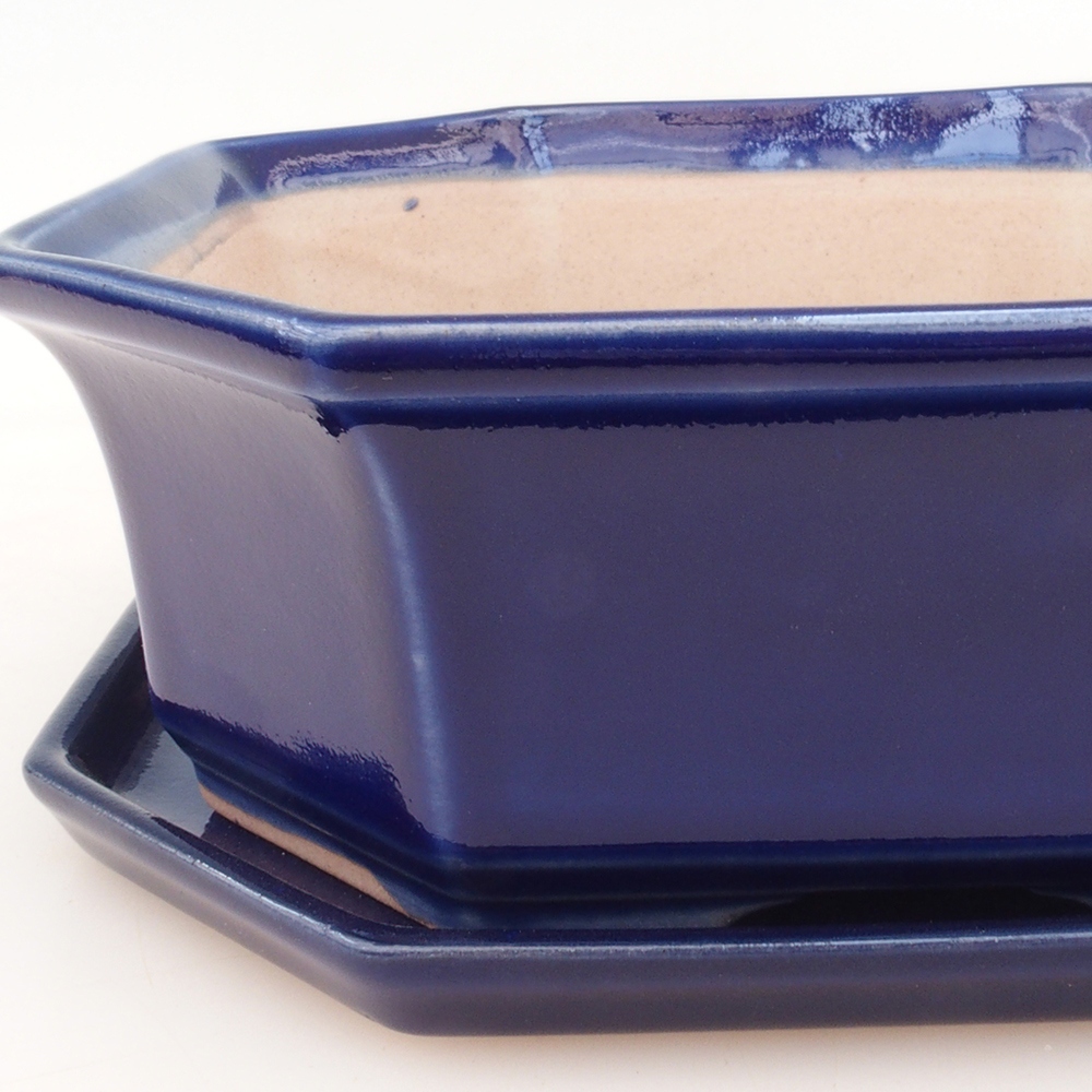 Ciotola bonsai + piattino H14 - blu