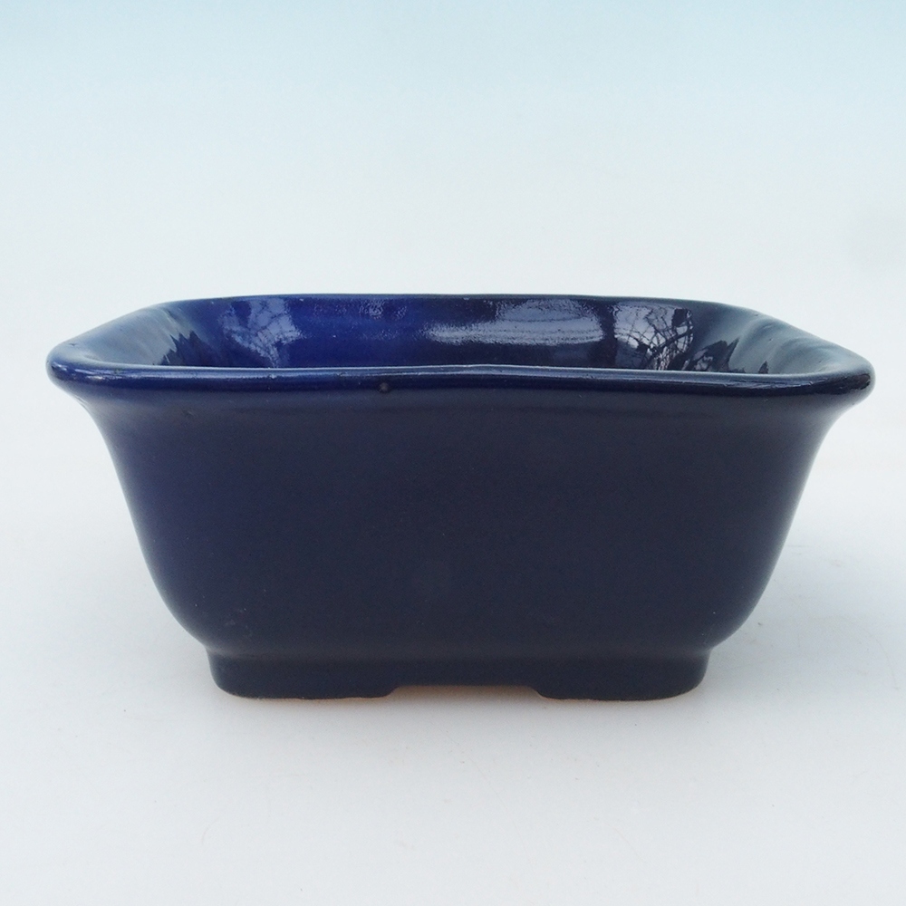 Ciotola per bonsai H38 - 12 x 10 x 5,5 cm - blu