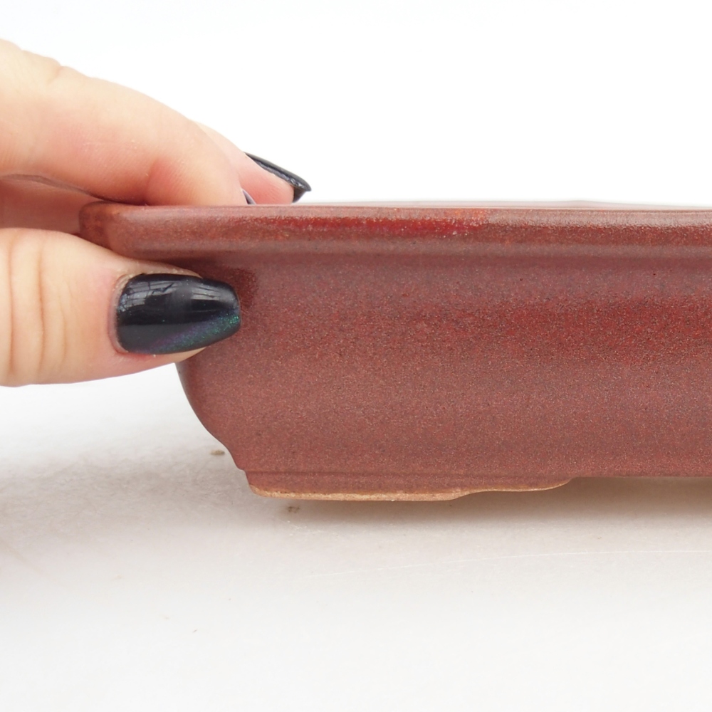 Ciotola bonsai in ceramica 18 x 13,5 x 4,5 cm, bordeaux