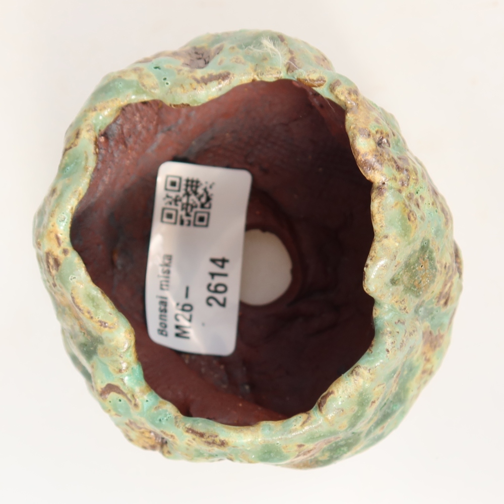 Guscio in ceramica  7,5 x 6,5 x 6,5 cm, colore verde