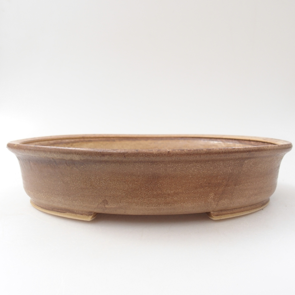 Ciotola bonsai in ceramica 24 x 21 x 5 cm, colore beige