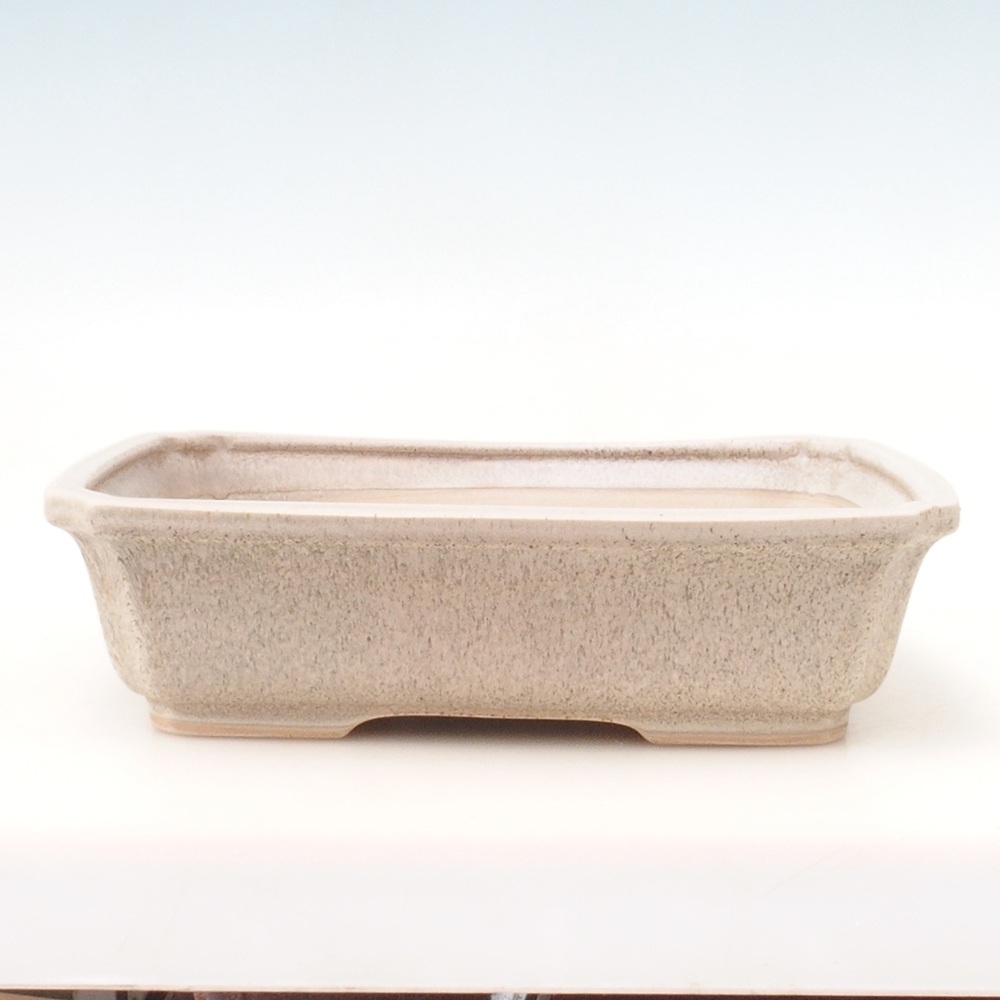 Ciotola bonsai + piattino H07 - 30 x 20,5 x 8 cm - beige