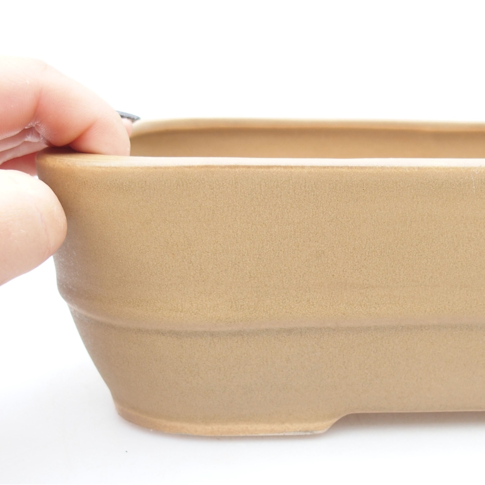 Ciotola bonsai in ceramica 28 x 21 x 7,5 cm, colore beige