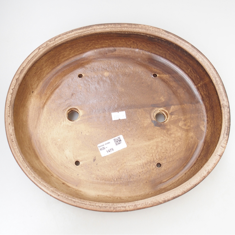 Ciotola per bonsai in ceramica 31,5 x 27,5 x 6 cm, colore beige