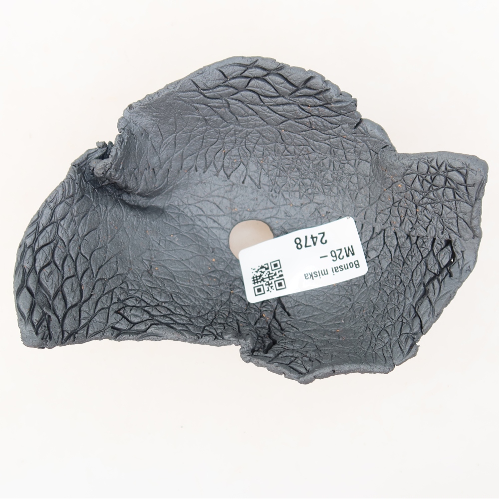 Guscio in ceramica  13,5 x 9,5 x 6 cm, colore metallizzato