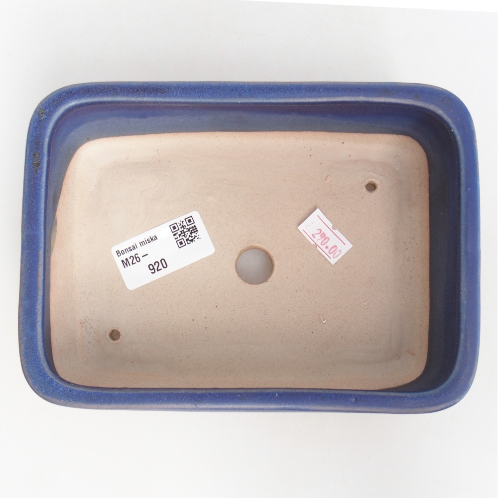 Ciotola bonsai in ceramica 16,5 x 12 x 5,5 cm, colore blu